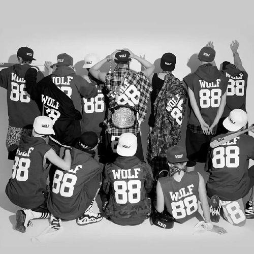 exo韩国站姐爆料最新,最新动态揭秘，粉丝福利来袭！